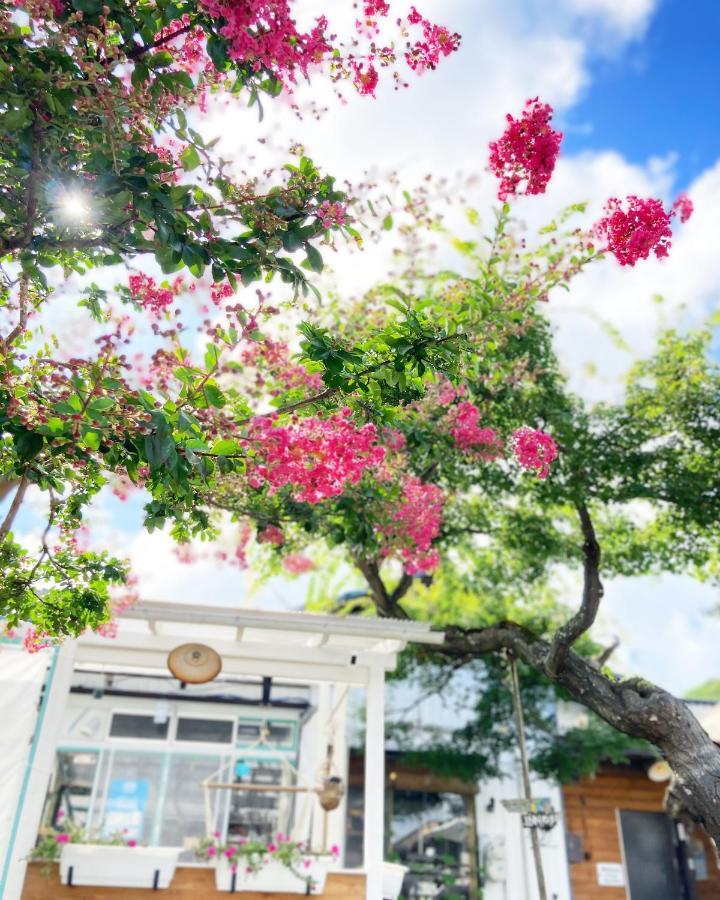 Nemaru Live With Books Hotel นางาโอกะ ภายนอก รูปภาพ